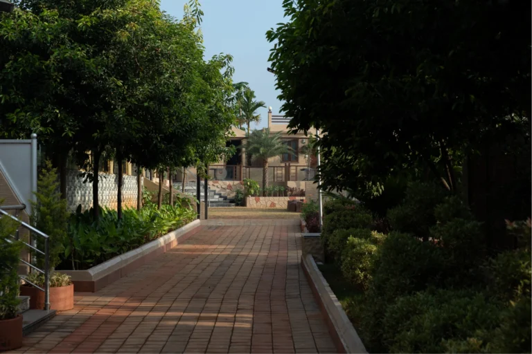 gallery-img-nature-01