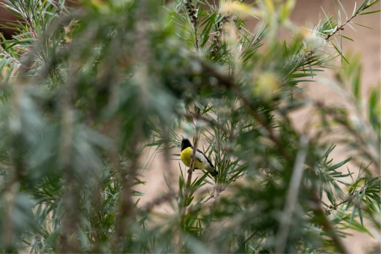 gallery-img-nature-02