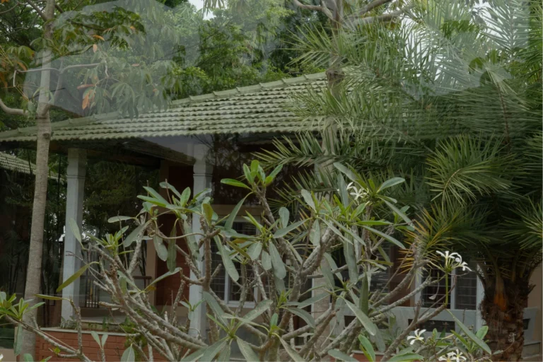 gallery-img-nature-06