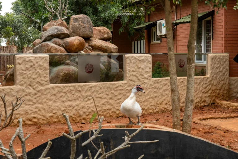 gallery-img-nature-08