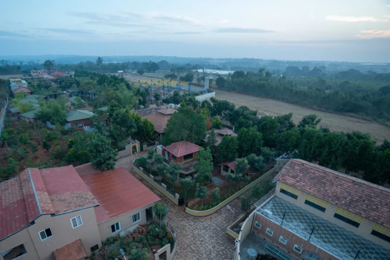 gallery-img-nature-09