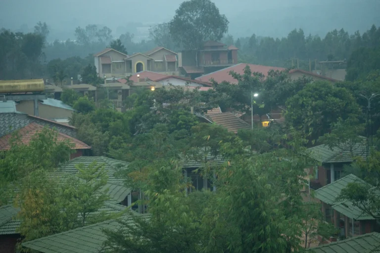 gallery-img-nature-10