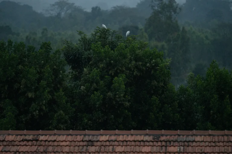 gallery-img-nature-11