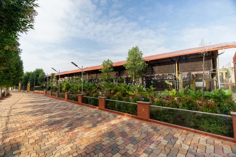 gallery-img-nature-14