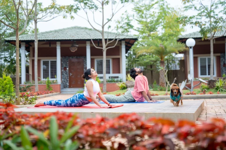 gallery-img-wellness-05